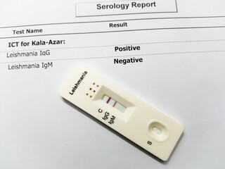 Canvas Print - Rapid screening cassette for Leishmania test with positive report.