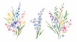 Beautiful floral bouquet illustrations set with watercolor hand drawn flowers. Stock clip art.
