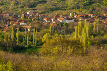 A view of the country houses located at the foot of the hill and surrounded by tall poplars, forests and meadows.
