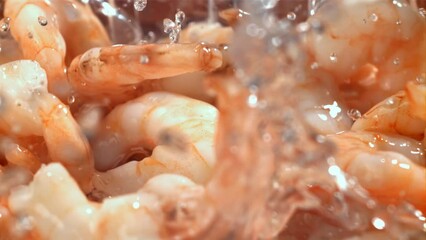 Poster - Shrimp splashes fall into the water. Filmed on a high-speed camera at 1000 fps. High quality FullHD footage