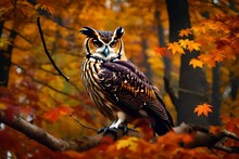 Create A Short Story Centered Around A Stately Owl And Its Encounters With The Changing Seasons, Focusing On The Beauty Of Autumn.