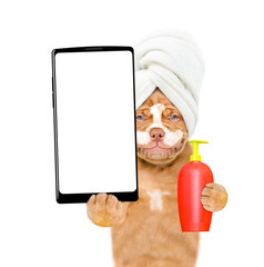 Poster - Smiling Mastiff puppy with towel on it head, with pieces of cucumber on it eyes and with cream on it face holds flea shampoo  and big smartphone with white blank screen in it paw. isolated on white