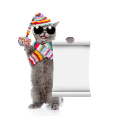 Poster - Happy cat wearing sunglasses and knitted scarf and warm woolen hat with pompon shows blank list. isolated on white background