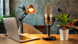 © Animaflora PicsStock - Home studio with podcast interior laptop and microphone on table
