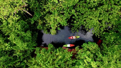 Wall Mural - couple in a kayak in the jungle of Krabi Thailand, men and women in a kayak in a tropical jungle in Krabi mangrove forest.