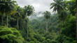 © Anna - rainforest, distant view, rainy weather photo of palm trees and jungle