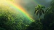 rainbow in the tropical forest