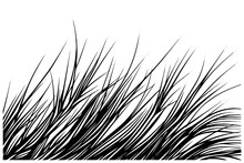 Black Grass Sketch In Vintage Style On White Background. Hand Drawn Vector Illustration.