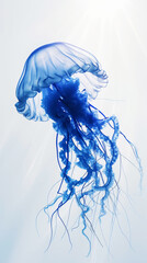 Wall Mural - Aesthetic light blue jellyfish floating against light backdrop. Ocean ecosystem concept. Generative AI