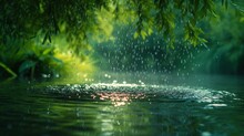 HD Photography, Close Focus, Rain, Willow, Large Droplets Of Water Rippling Into The Water,