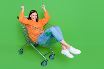 Poster - Full size photo of delighted positive girl inside market trolley raise fists shout yes empty space isolated on green color background