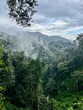 landscape in Nyungwe National Park, Rwanda, with clouds over the indigenous rainforest and mountains