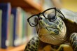 © ChaoticMind - A studious sea turtle dons glasses as it delves into a book indoors, bridging the gap between reptiles and mammals