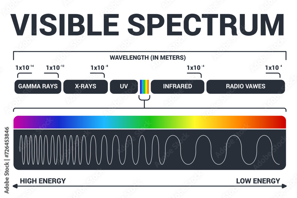 Visible light diagram. Color electromagnetic spectrum, light wave ...