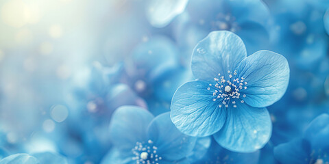 delicate natural floral background in light blue pastel colors. blue flowers close up with selective