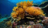 Fototapeta Do akwarium - Tropical sea underwater fishes on coral reef