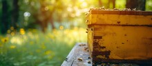 Beekeeping, Sustainability In Nature, Bee Farm, Honey, Agriculture, Eco-friendly Industry, Beeswax Farmer.