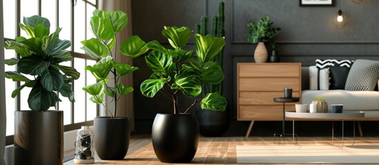 Wall Mural - Indoor tropical plants, including a fiddle leaf fig tree and monstera, displayed in a black pot in a room corner, enhance home and living room decor.