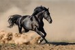 black stallion sprinting headon in a paddock, dust cloud around hooves