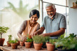 Indian married senior mature couple planting herbs in living room