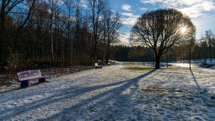 Wall Mural - winter landscape, snowy ground, trees, grass