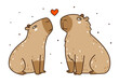 Cute сartoon capybaras couple with heart isolated on white - funny animal for Your Valentines day lovely design