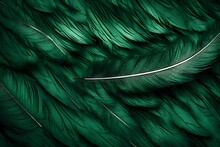 Blue And Green Feathers