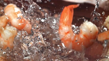 Poster - Shrimp splashes fall into the water. Filmed on a high-speed camera at 1000 fps. High quality FullHD footage