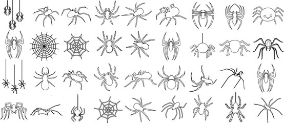 Wall Mural - Spider, line art, illustrations, various species, isolated, white background. Perfect for educational content, Halloween decorations, nature studies