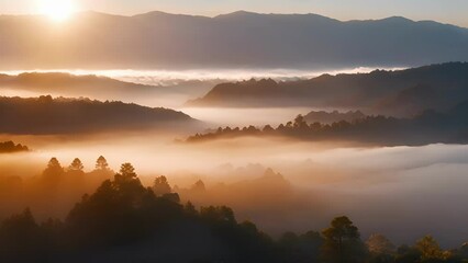 Wall Mural - as the sun rises the valley below is blanketed in a soft veil of mist.