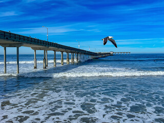 ocean beach pier in san diego