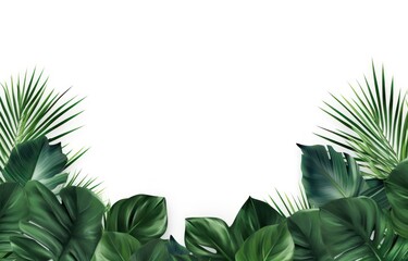 Wall Mural - Tropical leaves on white background