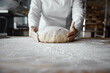 © Nomad_Soul - Baker hands holding kneaded dough to prepare fresh bread