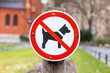 Photo of a prohibition sign in a park with green lawn: Dogs prohibited! It shows a symbol with a crossed-out dog