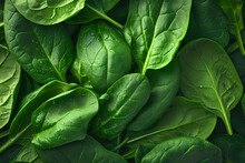 Hyper-realistic Macro Photo, The Intricate Veins Of Spinach Leaves Are Magnificently Captured, A Mesmerizing Glimpse Into The Delicate Beauty And Natural Complexity Of This Nutritious Green Vegetable