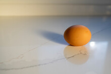 Fresh Brown Egg In Soft Kitchen Light