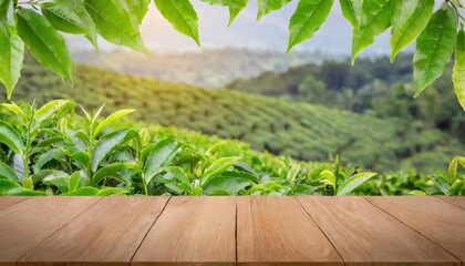 
Empty wooden table or wooden desk with tea plantation nature background with green leaves as frame Product display natural background concept
