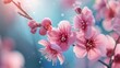 Japanese plum blossoms. Japanese plum blossom close-up. Pink Japanese plum blossoms