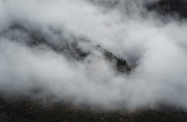 Wall Mural - forested mountain ridge in the clouds