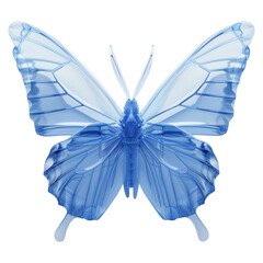 Wall Mural - arctic blue butterfly isolated on a transparent background