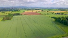 AERIAL: Beautifully Landscaped And Colorful Farm Fields In Scottish Lowlands. A Stunning Patchwork Pattern Where Natural Shades Of Brown And Green Fields Alternate. Lovely Sunny Summer Day In Scotland