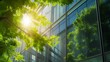 © Generative AI - Eco architecture. Green tree and glass office building. The harmony of nature and modernity. Reflection of modern commercial building on glass with sunlight. : Generative AI