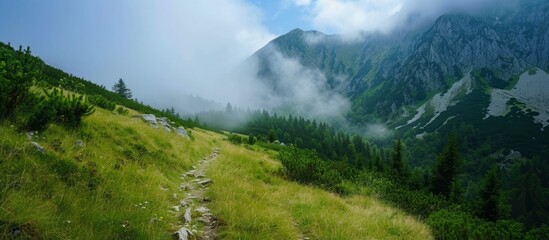 Sticker - Scenic view of deep Slovak mountain valley capturing the beauty of nature during a hike.