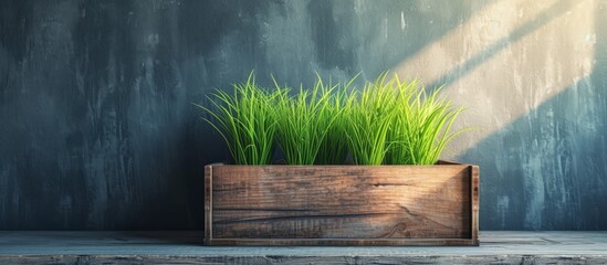 Poster - Wooden box on the wall containing green grass.