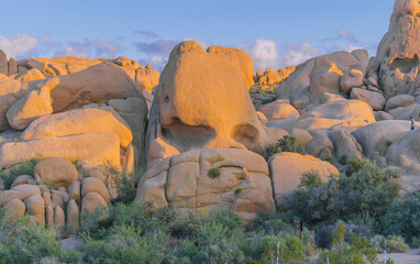 The Skull Rock, in the Joshua Tree National Park, is a favorite stop for park visitors.