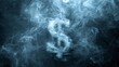 Smoke Billowing Out of a Dollar Sign on a Black Background