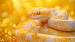 Albino snake with blurred gold background, glitter and blurred background, white snake represent year of snake, happy Chinese new year,