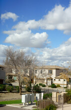 Deciduous Trees With Bare Branches And Few Dry Leaves In A Residential Housing Community During Warm Winter In Phoenix, Arizona