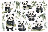 Fototapeta Dziecięca - Watercolor panda. Collection of watercolor pandas in various poses with bamboo shoots and leaves, capturing the playful and gentle nature of these beloved animals.