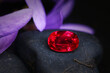 © Achirawee - Vibrant red rose and precious blue gem on a sleek black background, surrounded by assorted red and blue stones – a stunning glass composition, symbolizing love and health, a perfect gift or decoration